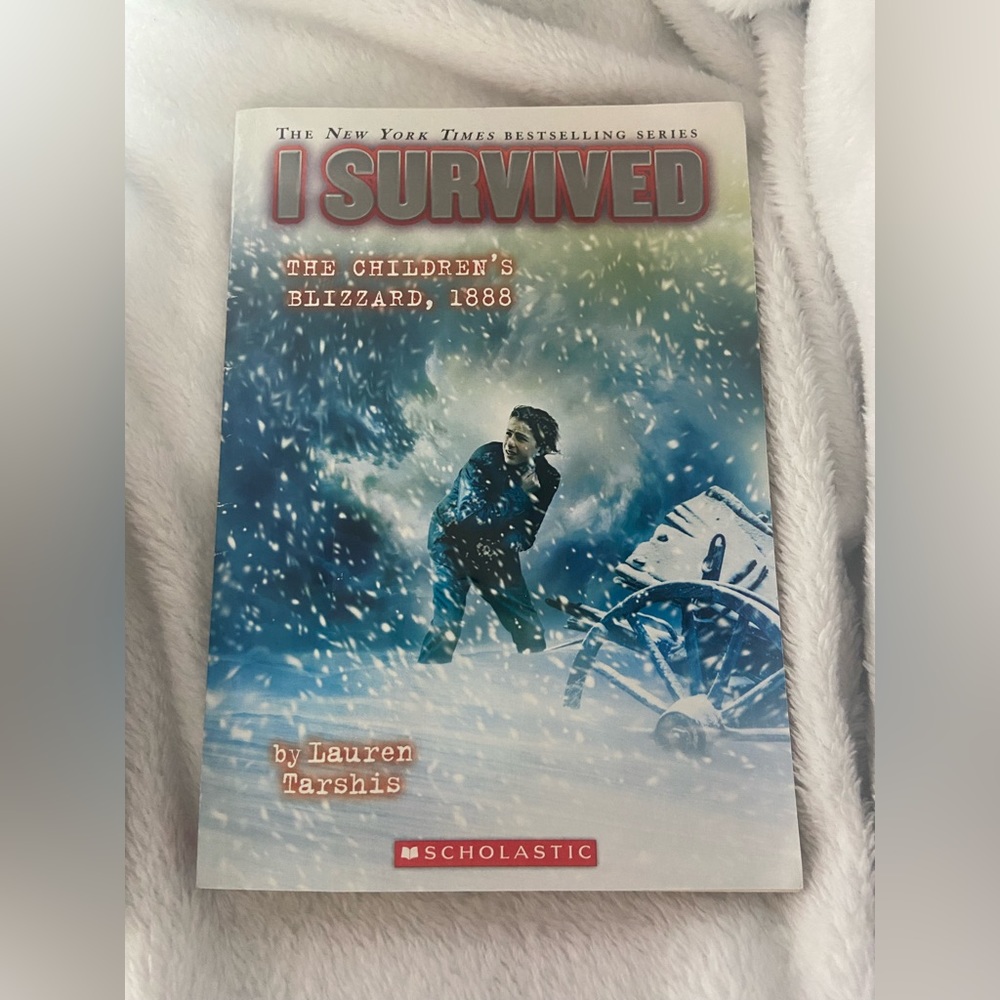 Scholastic Chapter book bundle - Picture 4 of 8